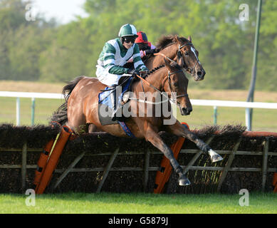 Pferderennen - Damen Abend - Huntingdon Racecourse Stockfoto