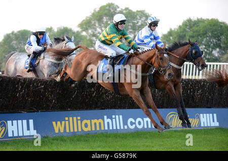 Pferderennen - Damen Abend - Huntingdon Racecourse Stockfoto