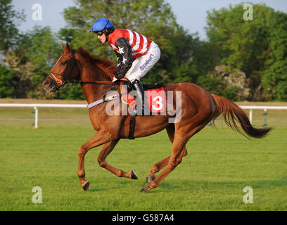 Pferderennen - Damen Abend - Huntingdon Racecourse Stockfoto