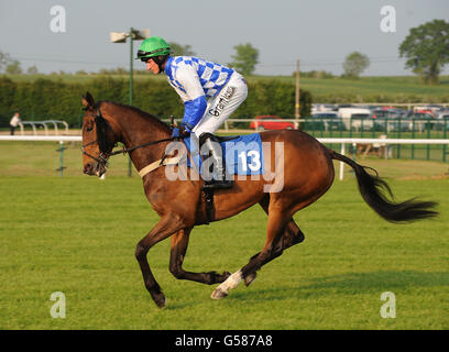 Pferderennen - Damen Abend - Huntingdon Racecourse Stockfoto