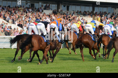 Pferderennen - Damen Abend - Huntingdon Racecourse Stockfoto