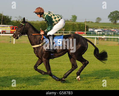 Pferderennen - Ladies Evening - Huntingdon Racecourse. Nummer eins der Männer, die von Adam Nicol im Ray Hughes Retirement Conditional Jockeys Selling Handicap Hurdle Race geritten wurden Stockfoto