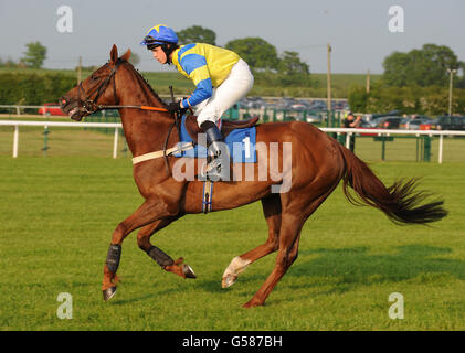 Pferderennen - Ladies Evening - Huntingdon Racecourse. Musashi mit Nathan Adams Stockfoto