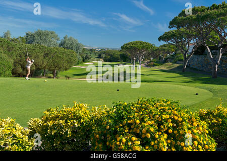 Vale Lobo Ocean natürlich 7. Fairway und Tee Stockfoto