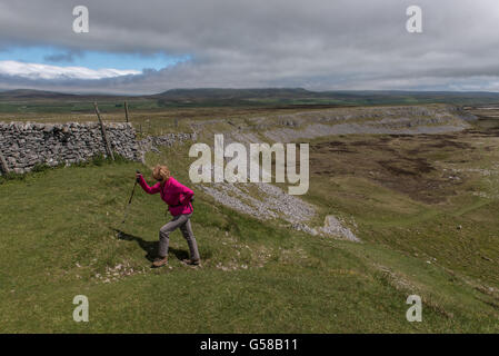 Diebe Moos in den Yorkshire Dales Stockfoto