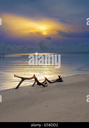 Haken Sie am Strand am Meer im schönen Sonnenaufgang Sonnenuntergang. Stockfoto