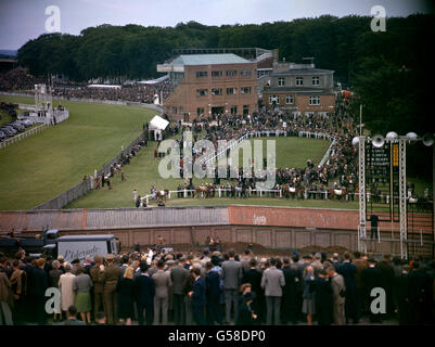 Pferderennen - Goodwood Racecourse. Paddock-Szene auf der Goodwood Racecourse Stockfoto