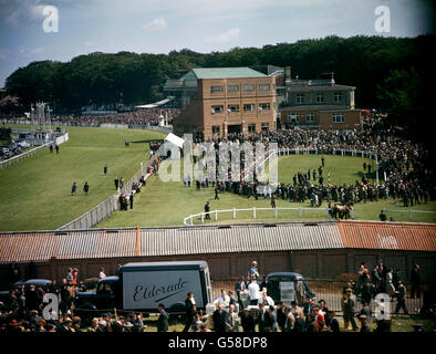 Pferderennen - Goodwood Rennbahn Stockfoto