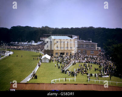 Pferderennen - Goodwood Racecourse. Paddock-Szene auf der Goodwood Racecourse Stockfoto