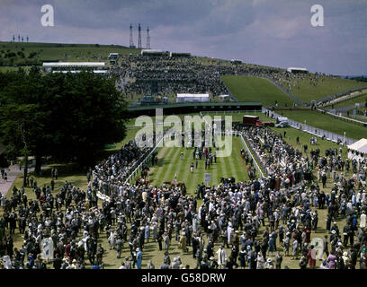 Paddock-Szene auf der Goodwood Racecourse vor dem Foxhill Handicap. Stockfoto