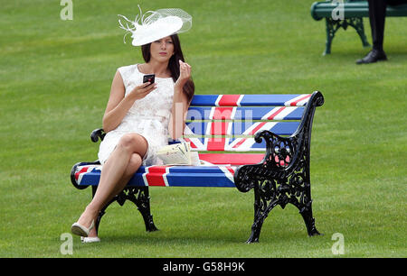 Pferderennen - The Royal Ascot Meeting 2012 - Tag Zwei - Ascot Racecourse. Am zweiten Tag des Royal Ascot-Treffens 2012 auf der Ascot Racecourse, Berkshire, sitzt ein Rennfahrer auf einer Bank von Union Jack. Stockfoto