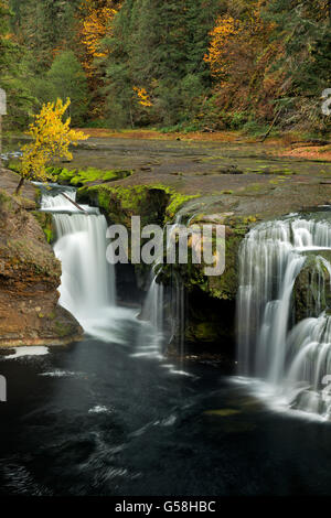 WA12829-00... WASHINGTON - Lower Lewis River Falls im Gifford Pinchot National Forest. Stockfoto