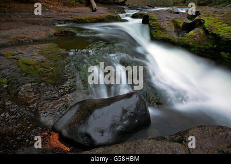 WASHINGTON - Pools und Felsen an der Spitze der unteren Lewis fällt auf den Lewis River im Gifford Pinchot National Forest. Stockfoto