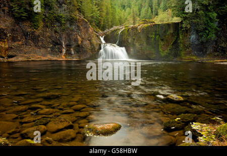 WA12831-00... WASHINGTON - der Pool am Fuße des oberen Lewis fällt auf den Lewis River im Gifford Pinchot National Park. Stockfoto