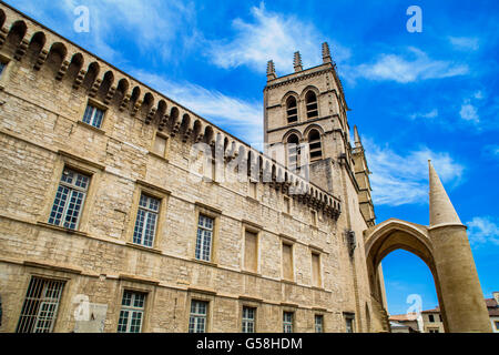 Montpellier Kathedrale in Frankreich Stockfoto