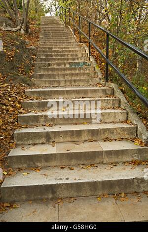 Herbst Treppe in einem park Stockfoto