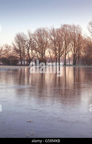 Gefrorene überschwemmten Sümpfe im Waveney Valley, Norfolk, England, UK Stockfoto