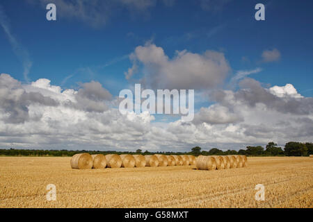 Strohballen in ein Norfolk Erntefeld Stockfoto