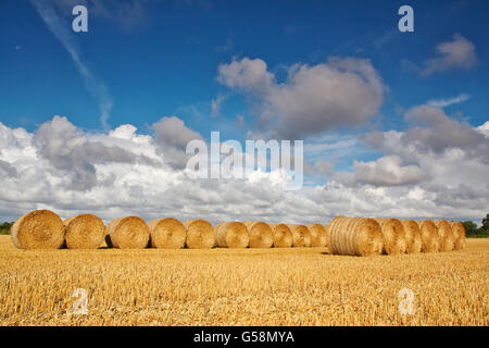 Strohballen in ein Norfolk Erntefeld Stockfoto