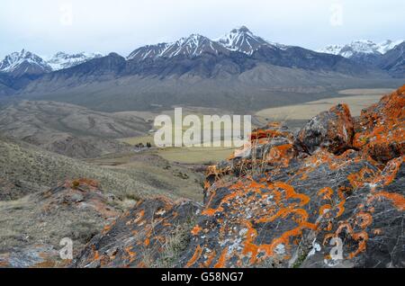 Mississippi Kalkstein auf Felsen an der Blaze Canyon Blick nach Osten zu Mt Caleb in Big Lost River Zugang Trail in der Nähe von MacKay, Idaho. Stockfoto