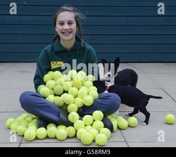 Lisa Thom, eine Freiwillige von Dog's Trust, mit Welpen, die mit gebrauchten Tennisbällen spielen, im Dog's Trust Harefield Rehoming Centre, West London. Stockfoto