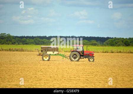 Eine rote Case Traktor zieht einen Anhänger in einem Feld mit einer Natur-Szene für einen Hintergrund. Stockfoto