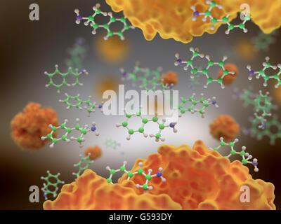 Amphetamin (in grün), ist eine synthetische Droge, ein potenter zentrale Nervensystem (ZNS) Stimulans Stockfoto