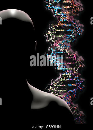 Detail eines DNA-Doppelhelix-Moleküls. DNA (Desoxyribonukleinsäure) ist ein Molekül, das meisten des genetischen Codes trägt Stockfoto