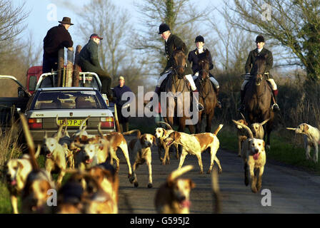 Die Hunde des Duke of Beaufort als Fuchsjagd in der Nähe von Tetbury, Gloucestershire. Eine Regierung, die das umstrittene Jagdgesetz ins Gesetz zu steamroller, könnte zu einem Zusammenstoß zwischen Parlament und Gerichten führen, warnte Lord Donaldson von Lymington. * EIN ehemaliger Rolls-Meister gab bekannt, dass er und hochrangige Richter eine Gegenreaktion von Foxhunting-Anhängern fürchten, wenn die Regierung versucht, die Parlamentsgesetze zu nutzen, um ein Jagdverbot in Kraft zu setzen. Lord Donaldson glaubt, dass er eine ganze Welle der Unterstützung für seine Rechnung haben könnte, gibt aber zu, dass seine Versuche, die Ansicht der Regierung über die zu entdecken Stockfoto