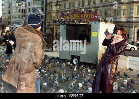 Lyuda Zezyulena (links) hat ihr Foto von Sveta Mudrakova (rechts) gemacht, die ukrainische Touristen vor dem Rayners Vogelsaatgut-Stall am Trafalgar Square im Zentrum von London sind. Der letzte Taubenfutterverkäufer am Trafalgar Square soll seiner Lizenz beraubt werden, hieß es. *... Bernard Rayner muss bis Freitag seinen Job aufgeben, danach wird die Greater London Authority eine einmonatige schrittweise Entnahme von Futtermitteln aus dem berühmten Wahrzeichen der Hauptstadt durchführen. Herr Rayner hatte seit Oktober nach einer Berufung des Obersten Gerichtshofs gegen einen früheren Schritt des Londoner Bürgermeisters Ken mit einer befristeten Lizenz gehandelt Stockfoto