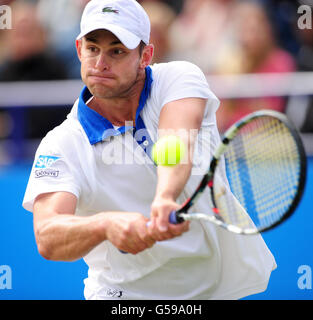 Andy Roddick aus den USA ist auf dem Weg, den Italiener Andreas Seppi am sechsten Tag der AEGON International im Devonshire Park, Eastbourne, zu besiegen. Stockfoto