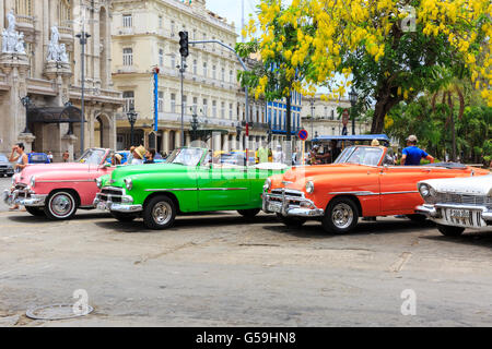 Amerikanische Oldtimer aufgereiht zu mieten in Parque Central in Havanna, Kuba Stockfoto