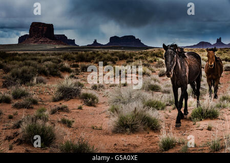 Wilde Pferde dunkle Wolken über dem Monument Valley USA Stockfoto