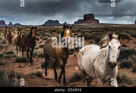 Pferde in den Regen Monument Valley USA Stockfoto