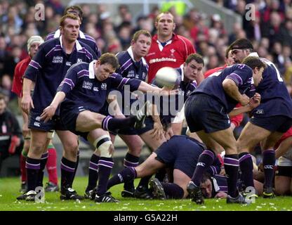 Sechs Nats Scot V Wales Andy Nicol Stockfoto