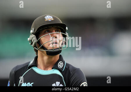 Cricket - Friends Life T20 - South Group - Surrey Lions gegen Sussex Sharks - The Kia Oval. Zafar Ansari, Surrey Lions Stockfoto