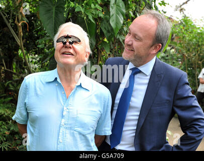 Richard Gillies M&S Director sieht sich als Butterfly Conservation President Sir David Attenborough einen südostasiatischen Great Mormon Butterfly auf der Nase hat, als sie die Big Butterfly Count im London Zoo im Regent's Park, London, ins Leben gerufen haben. Stockfoto