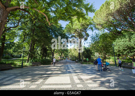 Der Estrela Garten (Jardim da Estrela) gegenüber Estrela Basilika in Lissabon, Portugal Stockfoto