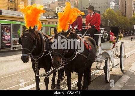 eine Pferdekutsche kreuzt vor Flinders Street Station, City of Melbourne, Australien Stockfoto