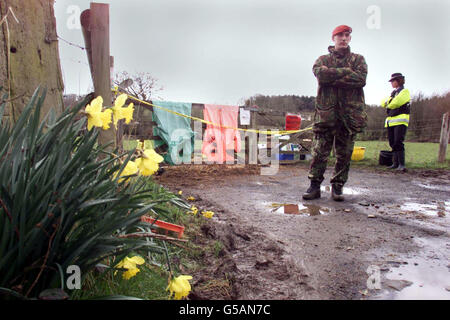 Mitglied eines Logistik-Teams der Armee, Sergeant Ewan Henderson von 3 Regiment Royal Military Police, beaufsichtigt Arbeiter des Landwirtschaftsministeriums auf der Holmes Farm in der Nähe von Hatherleigh in Devon. * Ein Sprecher des Premierministers sagte, dass die Regierung in Sachen Logistik „ihr Spiel aufstocken“ wird, da jetzt mehr Rendering-Anlagen zur Verfügung stehen und auch die Logistikteams der Armee in Cumbria an Ort und Stelle sind. Stockfoto