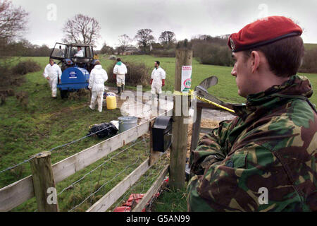 Mitglied eines Logistik-Teams der Armee, Sergeant Ewan Henderson von 3 Regiment Royal Military Police, beaufsichtigt das Landwirtschaftsministerium, während sie sich auf der Holmes Farm in der Nähe von Hatherleigh in Devon desinfizieren. * EIN Sprecher des Premierministers sagte, dass die Regierung "ihr Spiel" in Bezug auf die Logistik "aufstocken", mit mehr Rendering-Anlage jetzt verfügbar, und Armee Logistik-Teams im Ort auch in Cumbria. Stockfoto