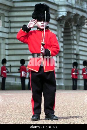 London-Matt schlucken Wachablösung Stockfoto