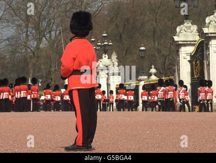 London-Matt schlucken Wachablösung Stockfoto