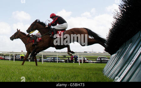 Horse Racing - Galway Sommerfestival 2012 - thetote.com Galway Plate Tag - Galway Rennbahn Stockfoto