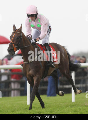 Horse Racing - Galway Sommerfestival 2012 - thetote.com Galway Plate Tag - Galway Rennbahn Stockfoto