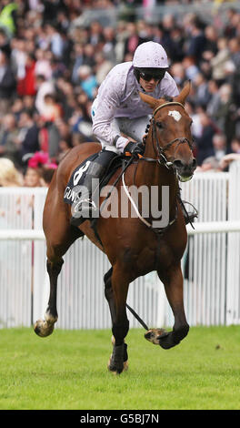 Murchu von Andrew McNamara geritten gewinnt das Perfect Pint Beginners Steeplechase während des Guinness Galway Hurdle Handicap Day des Galway Summer Festival auf der Galway Racecourse, Ballybrit. Stockfoto