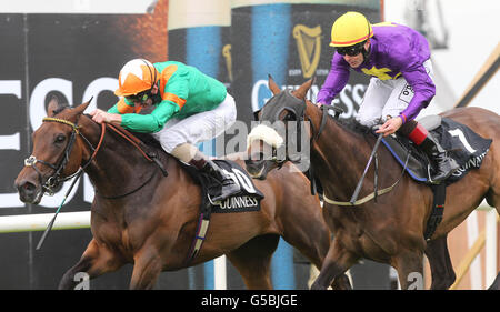 Horse Racing - 2012 Galway Sommerfest - Guinness Galway Hurdle Handicap Tag - Galway Rennbahn Stockfoto