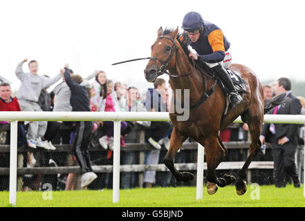 Rebel Fitz unter Davy Russell gewinnt das Guinness Galway Hurdle Handicap beim Guinness Galway Hurdle Handicap Day des Galway Summer Festival auf der Galway Racecourse, Ballybrit. Stockfoto