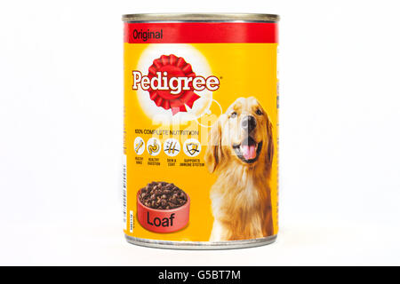 LONDON, UK 16. Juni 2016: eine Dose Hundefutter Pedigree, über einen weißen Hintergrund auf 16. Juni 2016.  Stammbaum Petfoods ist ein Stockfoto