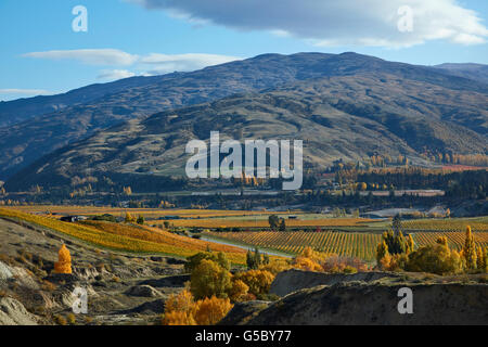 Historisches gold Schwemmanlagen und Herbstfärbung, Felton Road, Bannockburn, und Pisa-Palette, in der Nähe von Cromwell, Central Otago, Südinsel Stockfoto